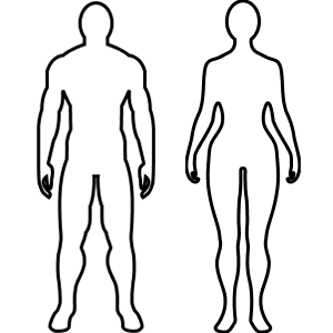 Mesomorph